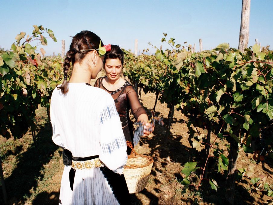 Бране на грозде в български традиционни носии