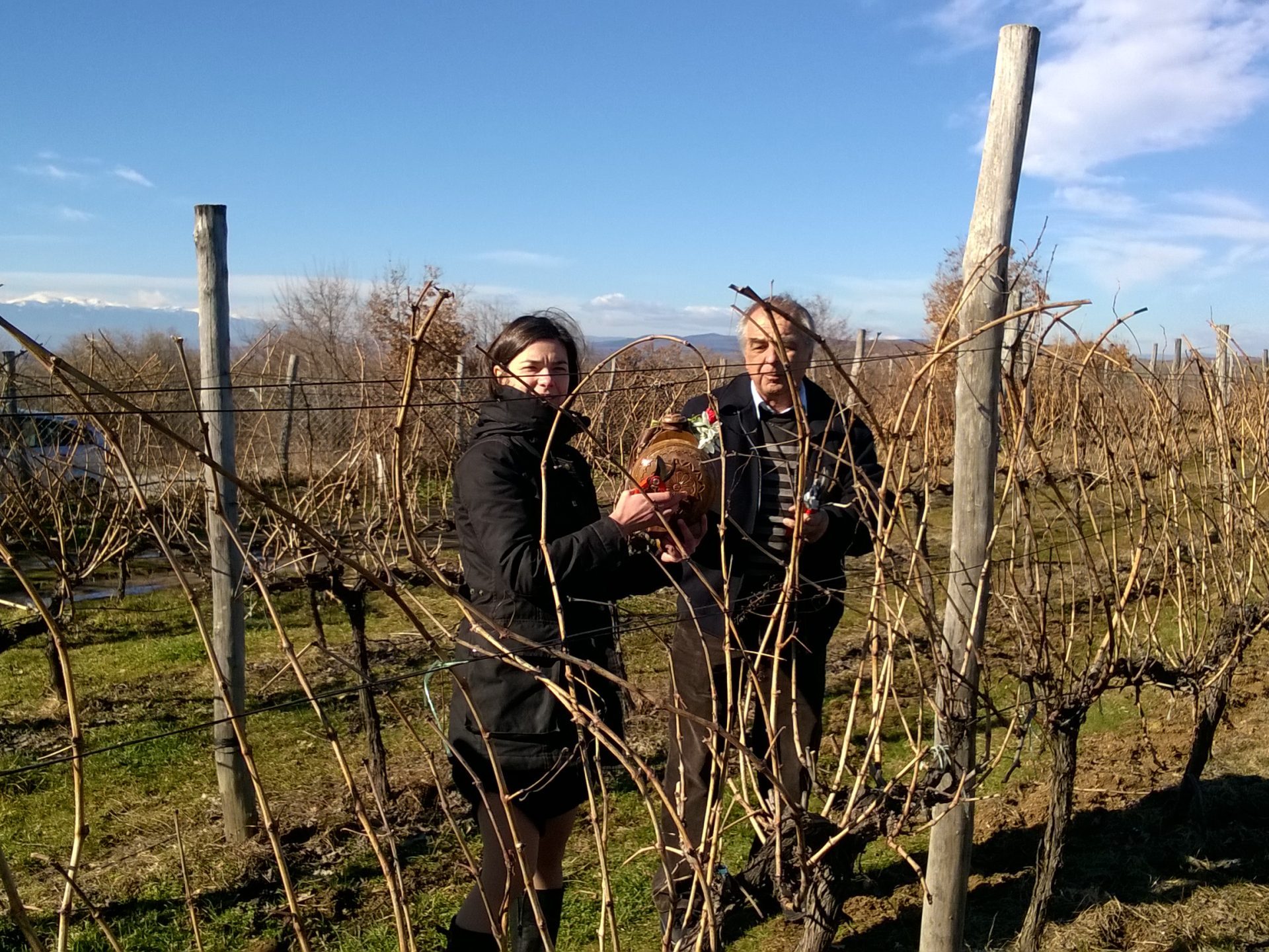 Лозята на Румелия на Трифон Зарезан