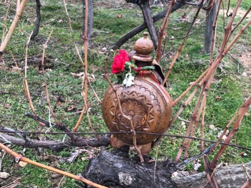 Бъклица за вино насред винени лозя